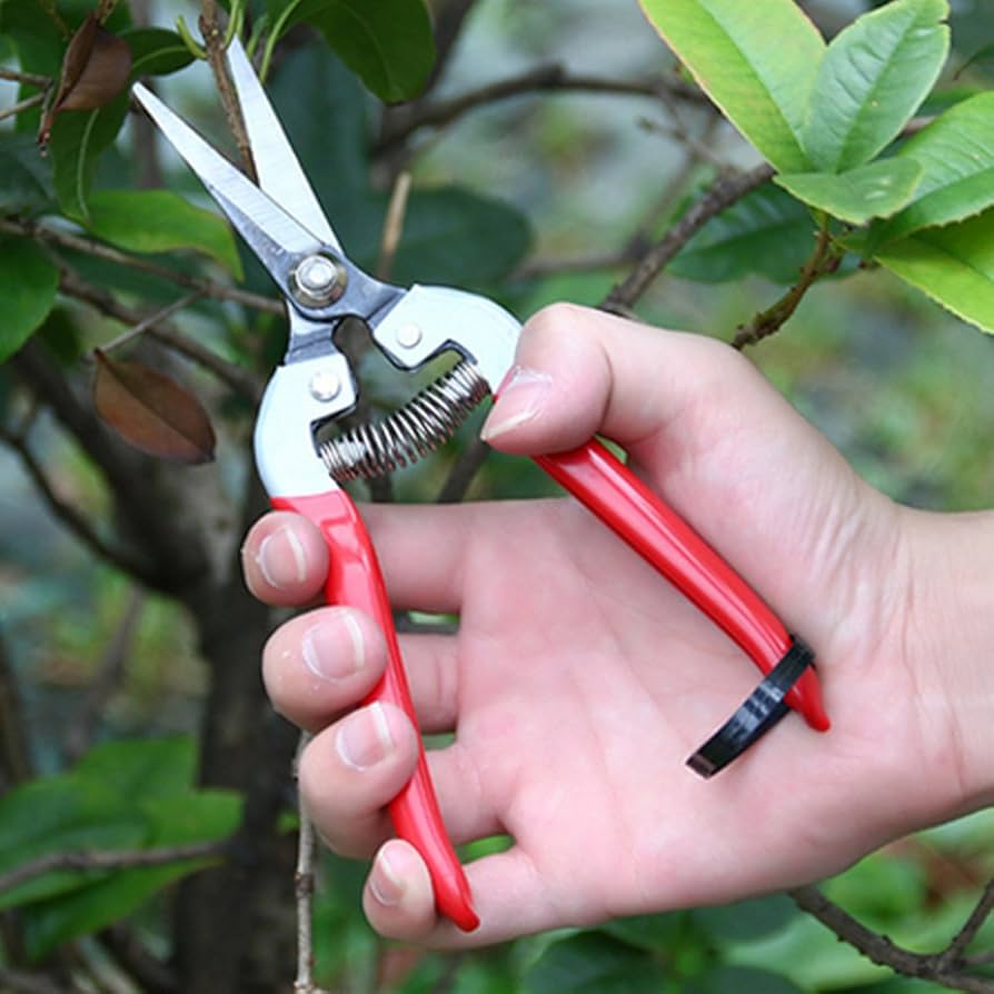 HANONGFU Shear