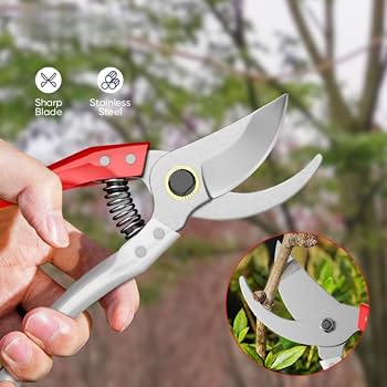 Garden Pruning Shears