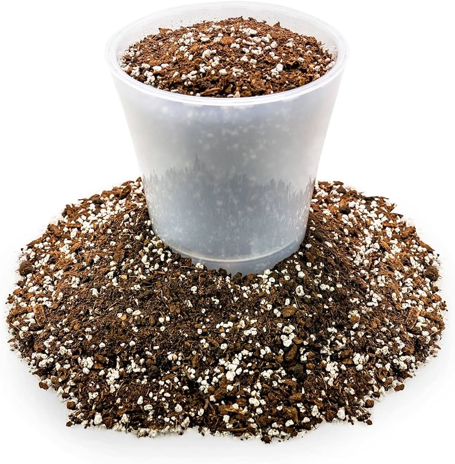 Peat Moss
