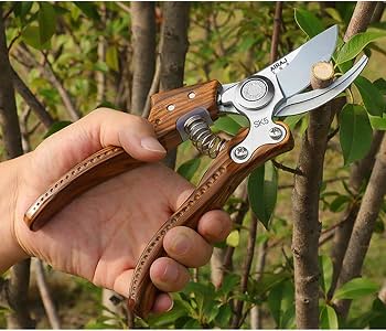 Premium Garden Pruning Shears