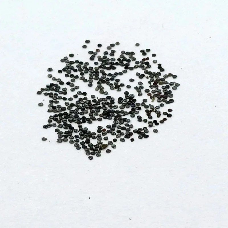 Portulaca Seed