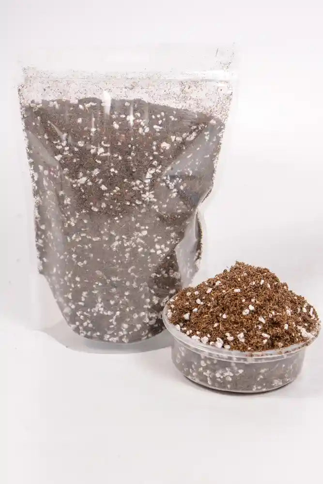 Peat Moss