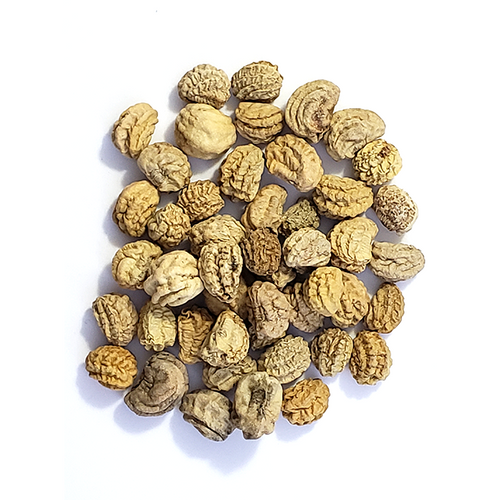 Nasturtium Seed