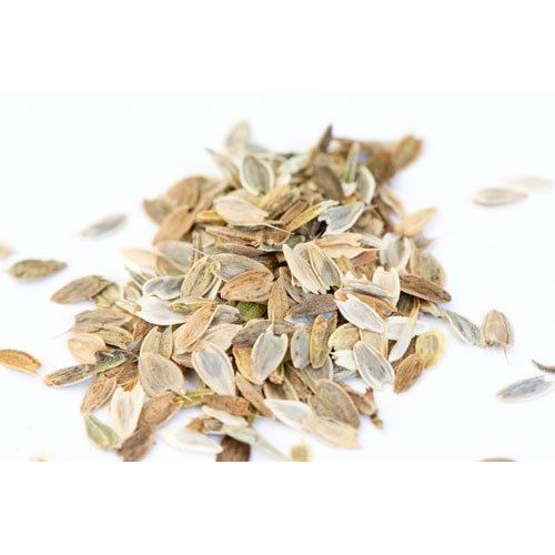 Zinnia Seed